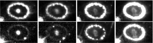 Regain d’activité des débris de SN1987A