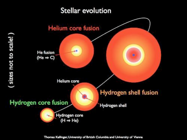 Symphonie des étoiles : la sismologie révèle l’intérieur des astres 