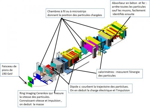 Une expérience du CERN affine une mesure essentielle pour décrire l’interaction forte