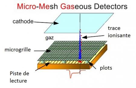 De nouveaux détecteurs Micromegas hybrides et pixelisés pour l'expérience Compass