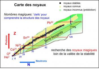 Exploration des noyaux les plus exotiques avec MINOS