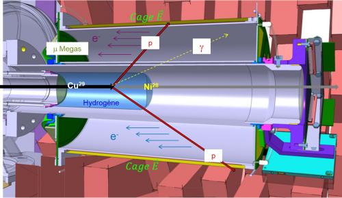 Exploration des noyaux les plus exotiques avec MINOS