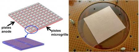 Développement d’un détecteur Micromegas 2D pour le contrôle du profil d’un faisceau de neutrons