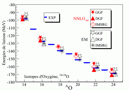 Rayons et masses des isotopes d’oxygène : un puzzle pour les forces nucléaires