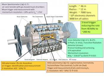 Experimental means