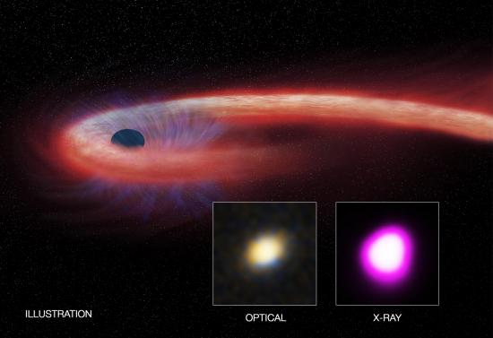 Un trou noir géant a dévoré une étoile en dix ans