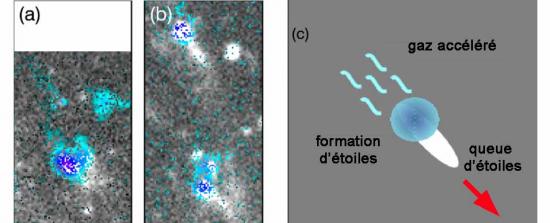 L'énigmatique galaxie méduse elliptique 