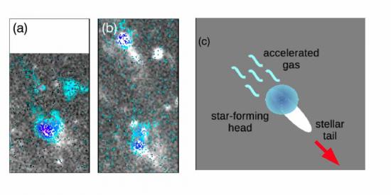 An enigmatic jellyfish elliptical  galaxy 