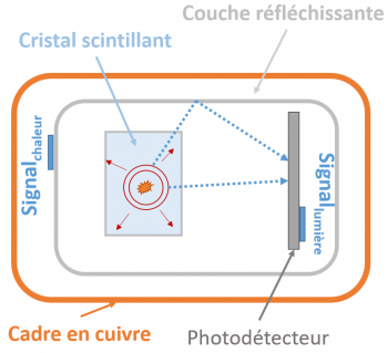 CUPID cherche cristal pour désintégration sans neutrino