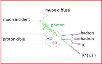 Etrangeté dans le nucléon : mesure des fonctions de fragmentation des quarks étranges à COMPASS