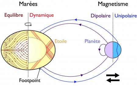 Le destin des exoplanètes en orbite proche 