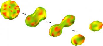 Study of the fission process