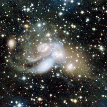 Cannibalism in a quintet of galaxies revealed by CEA MegaCam camera
