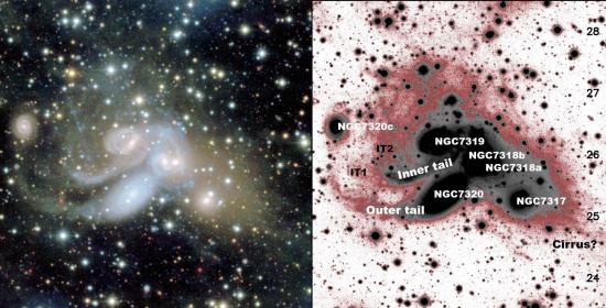 Cannibalism in a quintet of galaxies revealed by CEA MegaCam camera