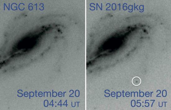 An amateur astronomer captures the early birth of a supernova