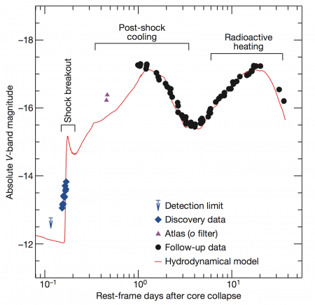 An amateur astronomer captures the early birth of a supernova