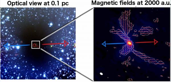 Le champ magnétique prépondérant pour la formation des étoiles