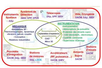 DIS - organisation et métiers