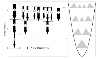 Confirmation du caractère vibrationnel du cadmium-110