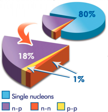 Les protons et neutrons modifient leur structure quand ils se couplent