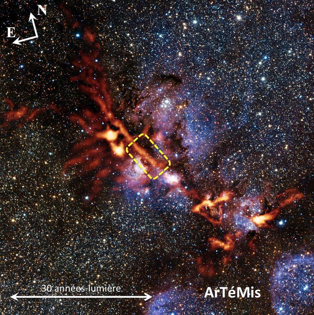 Nouveaux indices sur l’origine de la masse des étoiles