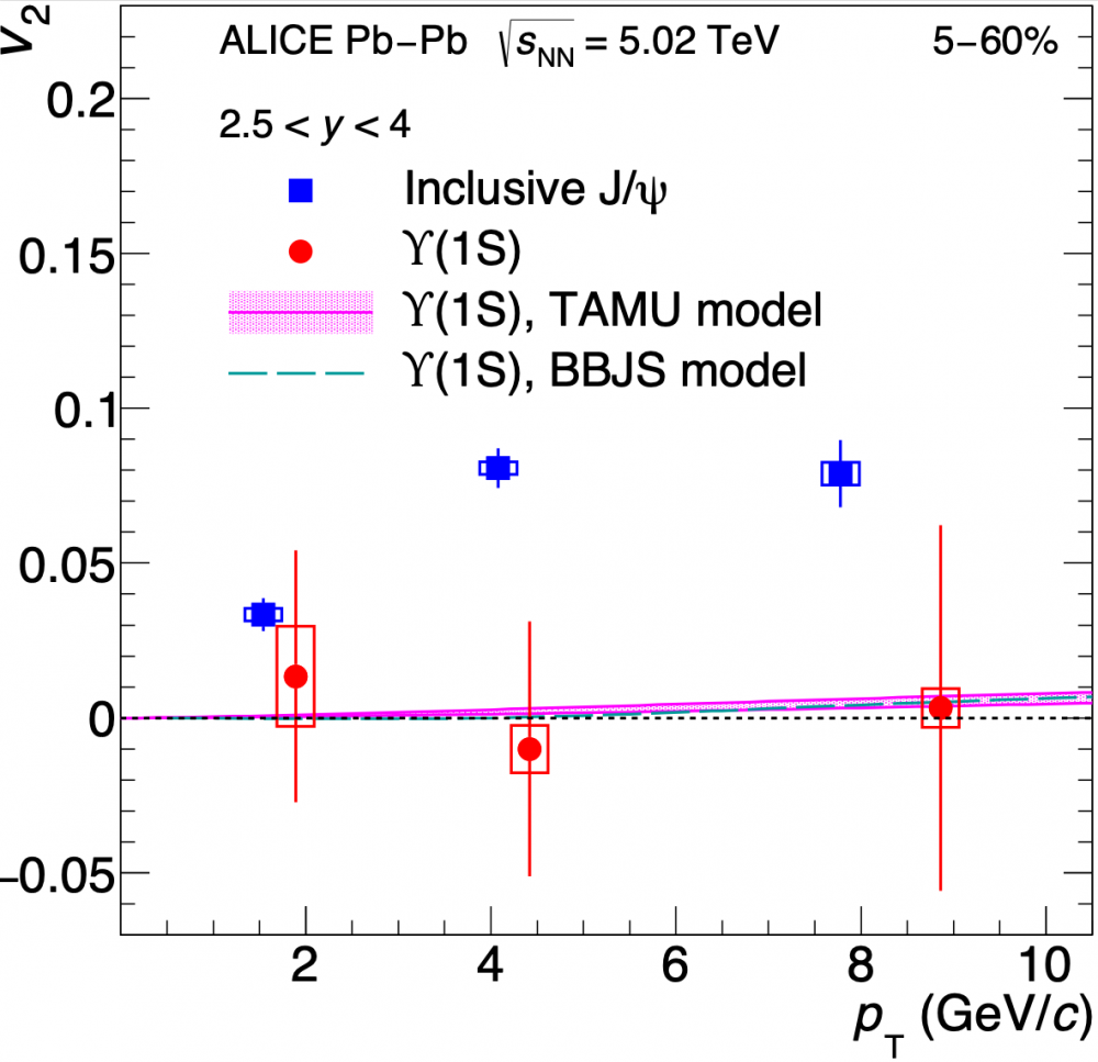 Bottomonium elliptic-flow no-show