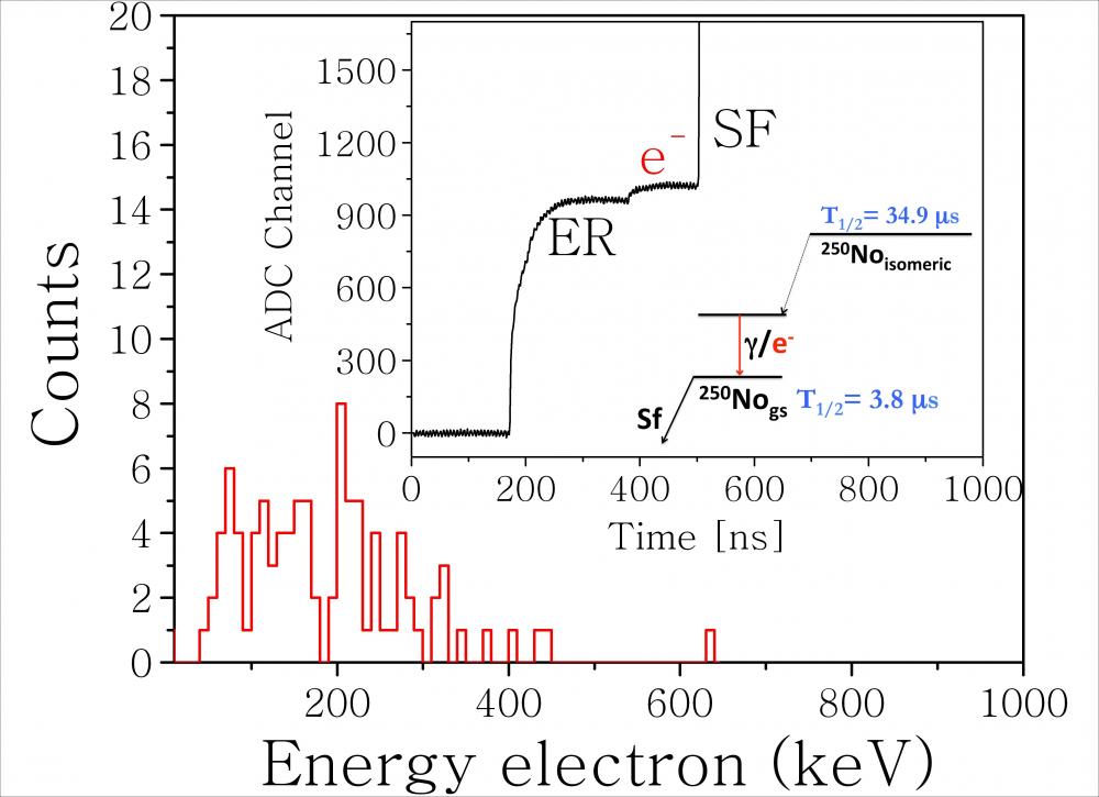 Heavy elements: how state-of-the-art electronics brings answer on longstanding questions 