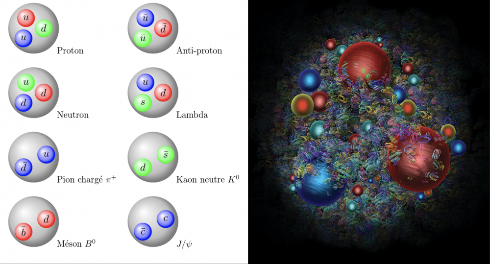 Les hadrons : de grands timides au cœur mystérieux
