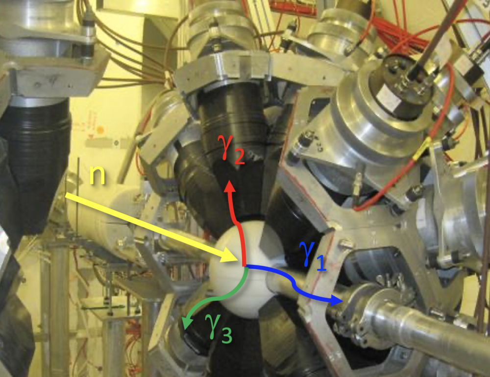 Étude des gammas de capture neutronique des isotopes de l'uranium