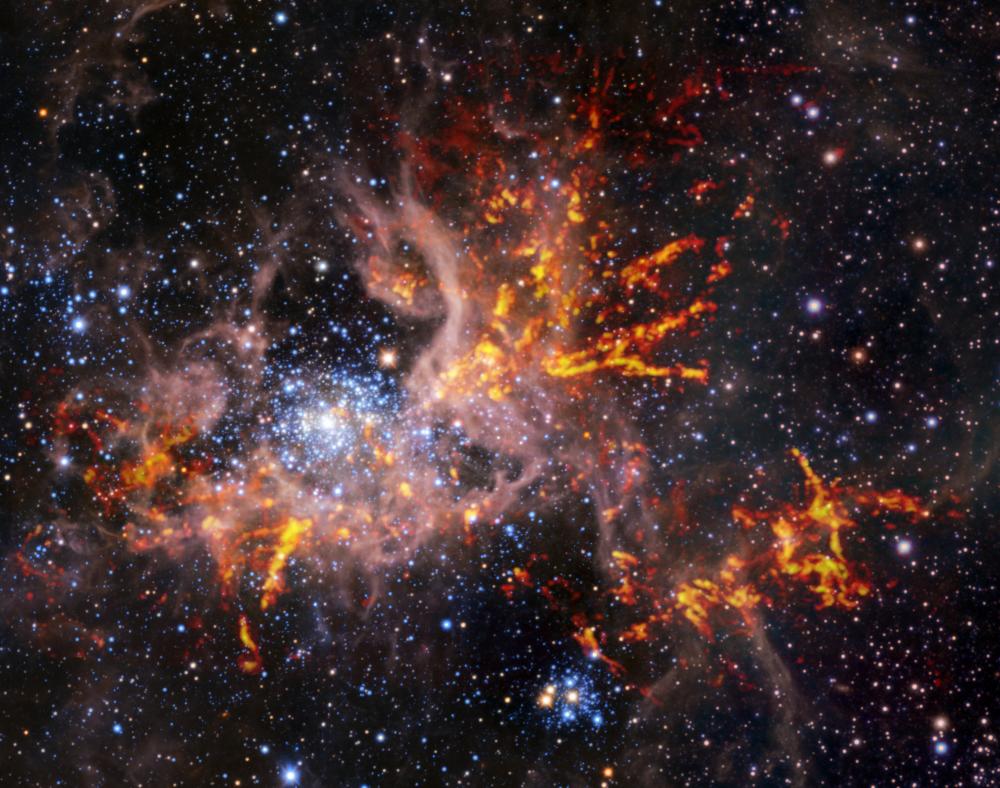 Les vestiges de la formation massive d'étoiles dans la nébuleuse de la Tarentule