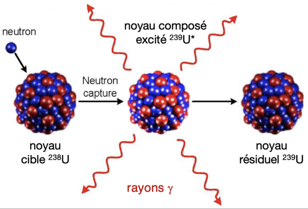 Study of neutron capture gammas from uranium isotopes