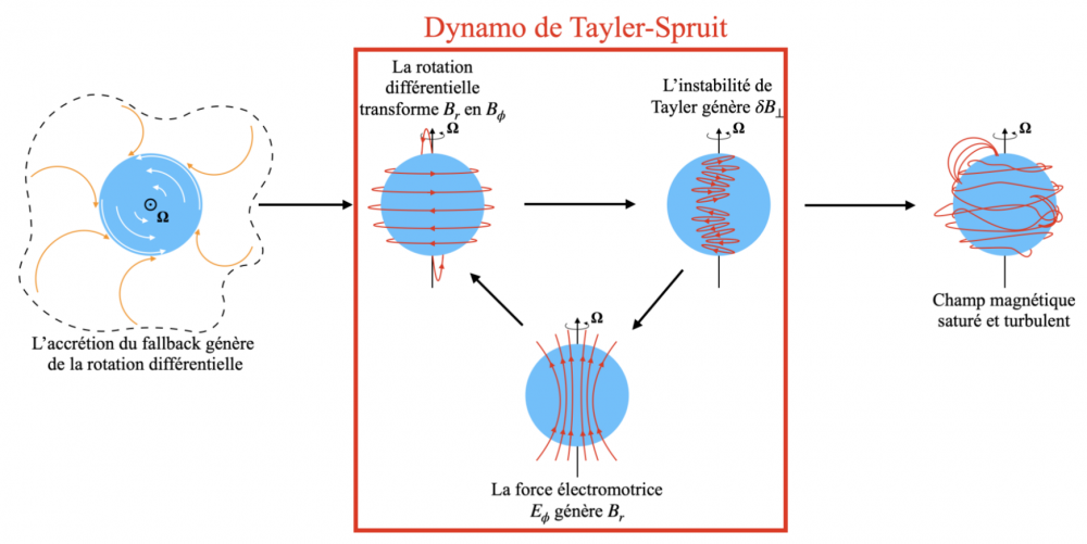 Towards a new scenario of magnetar formation