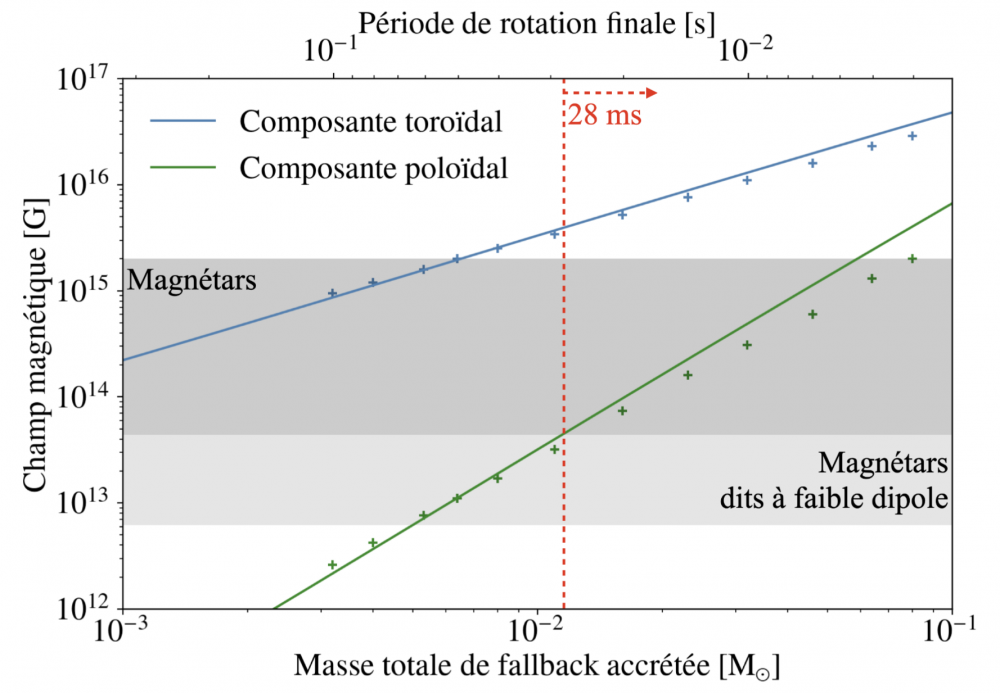 Towards a new scenario of magnetar formation