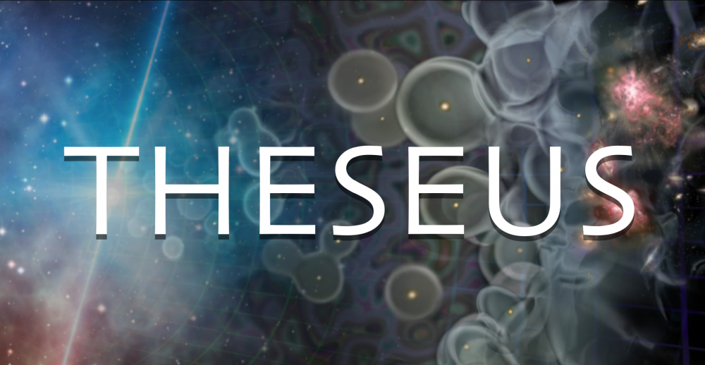 The THESEUS mission selected by the European Space Agency