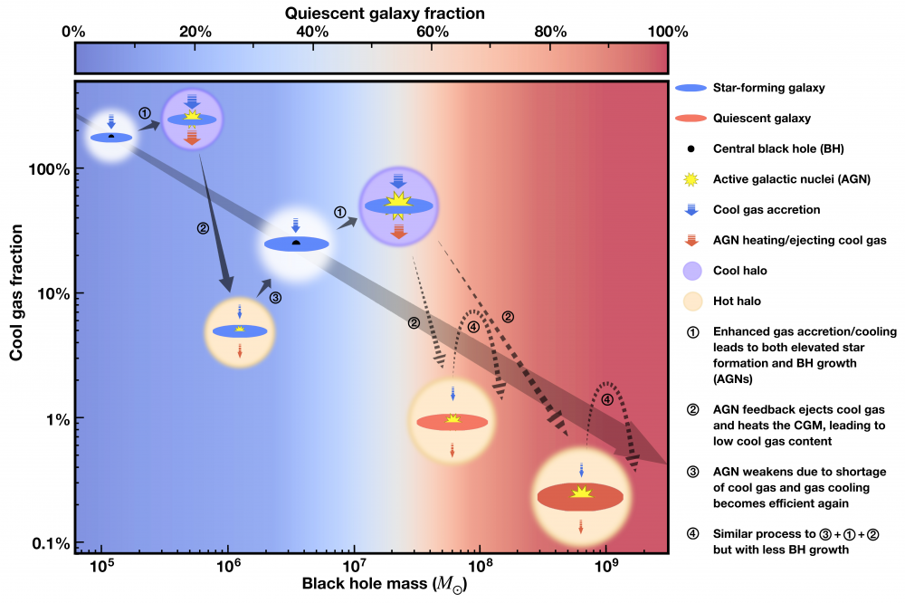 Des trous noirs asphyxiants de galaxies ?