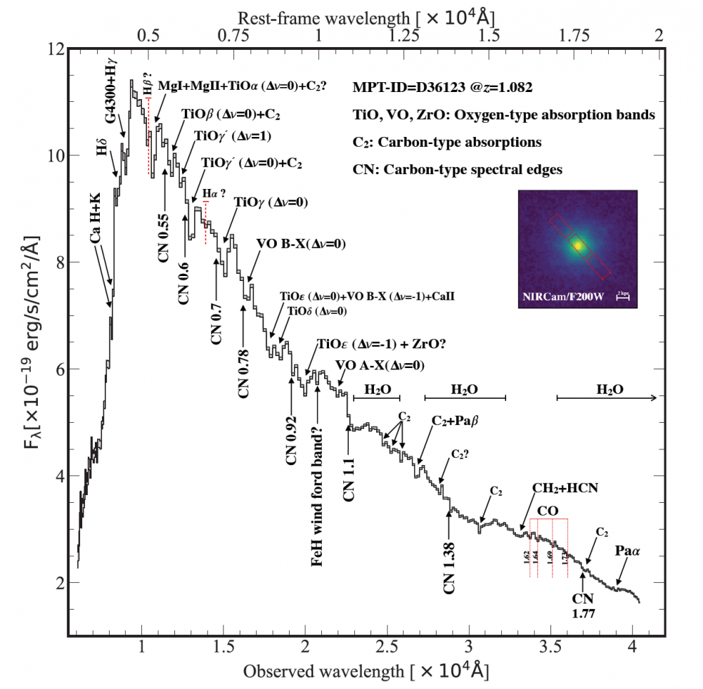 Première détection d\'étoiles de la branche géante asymptotique dans des galaxies lointaines quiescentes