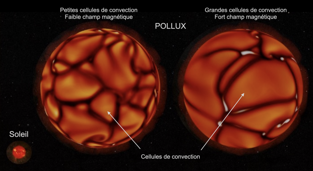 Le magnétisme des étoiles géantes révélé