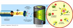 Des photons, des noyaux et des données