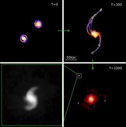 L’origine diverse des galaxies naines révélée par les simulations numériques