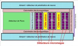 Micromegas au pays du Soleil levant