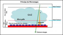 Micromegas au pays du Soleil levant