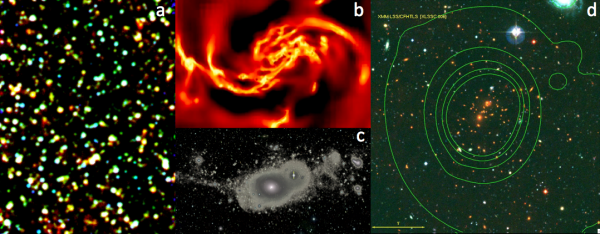 Cosmology and Galaxy Evolution group (LCEG)