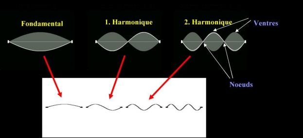 La sismologie : Qu'est-ce que c'est ? A quoi cela sert ?