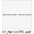 07_MarlinTPC.pdf