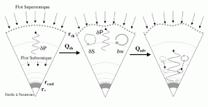 De l’instabilité advective-acoustique aux explosions asymétriques des Supernovae de type II