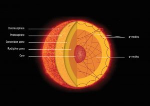 The heart of the sun rotates about 4 times faster than its surface