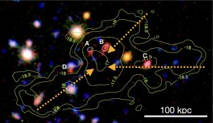 NICE: Dévoiler la physique de formation des amas de galaxies à grands redshifts avec NOEMA