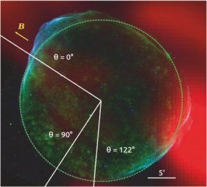 Accélération de particules dans le vestige de supernova SN1006